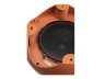 POLK AUDIO Сабвуфер ATRIUM SUB 10 Коричневый — фото 2