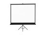 PROscreen Экран на треноге TLZ3120 (237*177)_УЦЕНКА - CLR — PROscreen Экран на треноге TLZ3120 (237*177)_УЦЕНКА - CLR