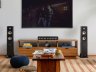 POLK AUDIO Громкоговоритель Sig Elite ES50 ЧЕРНЫЙ (Пара) — фото 8