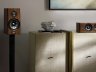 POLK AUDIO Акустическая система Reserve R200 КОРИЧНЕВЫЙ (Пара) — фото 3