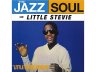 Виниловая пластинка WONDER STEVIE-THE JAZZ SOUL OF LITTLE STEVIE (BLUE VINYL) EAN:9003829978667 — Виниловая пластинка WONDER STEVIE-THE JAZZ SOUL OF LITTLE STEVIE (BLUE VINYL) EAN:9003829978667