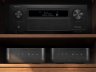 DENON Усилитель Home Amp — фото 7