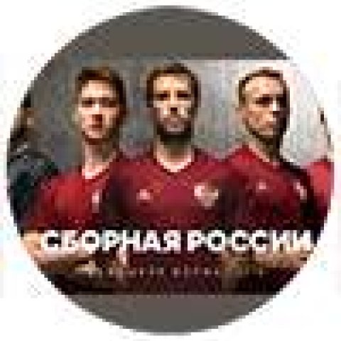 Сборная России на ЕВРО-2016