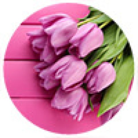 C наступающим праздником милые дамы! График работы