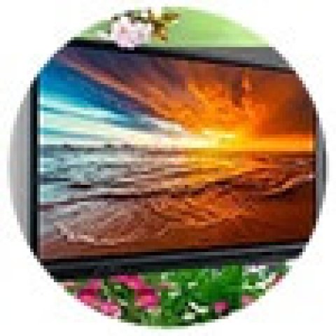 Весенний обвал цен на интерактивные панели PROboard!