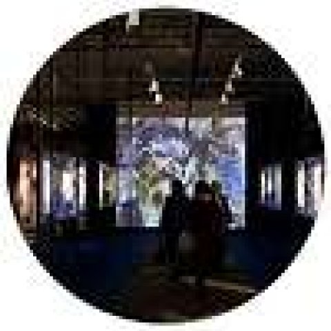 Проекторы Optoma ProScene и Анатолий Зверев. На пороге нового музея
