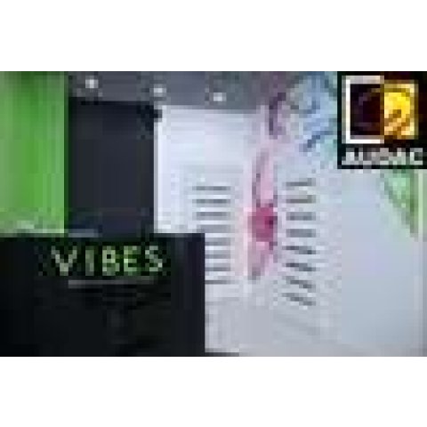 AUDAC звучит в студии танца и фитнеса VIBES!