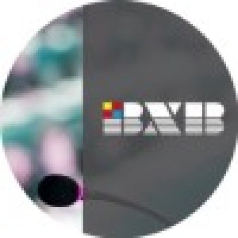 Портативные системы синхронного перевода BXB