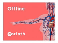 Доступ к оффлайн-версии ПО Corinth (100 user) - Снят с производства