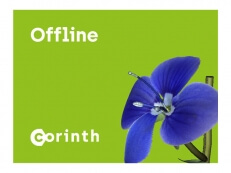 Доступ к оффлайн-версии ПО Corinth (20 user)