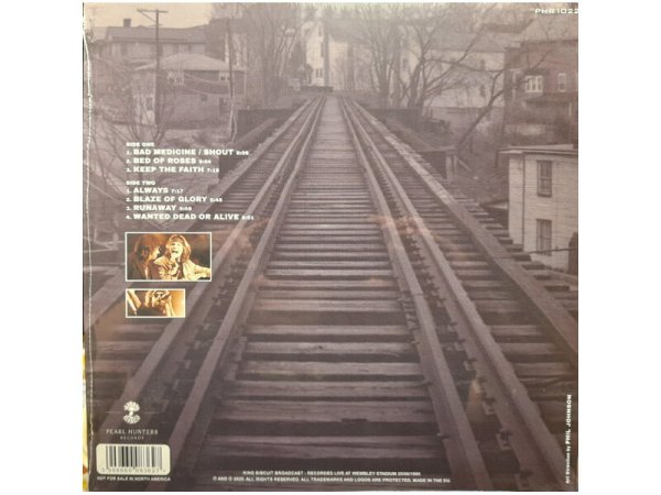 Виниловая пластинка BON JOVI: THE PASSING OF DAYS (TRANSPARENT BLUE VINYL) EAN:5906660083627 — фото 2