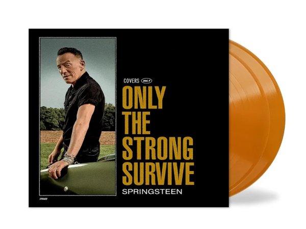 Виниловая пластинка Bruce Springsteen - Only The Strong Survive (Covers Vol. 1) — Разное