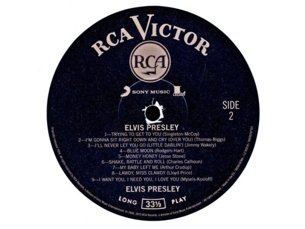 Виниловая пластинка PRESLEY ELVIS: ELVIS PRESLEY - WHITE VINYL EAN:0194397971514 — фото 4