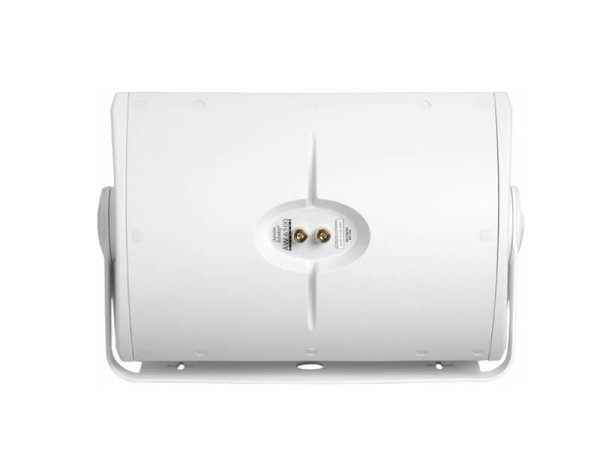 DEFINITIVE TECHNOLOGY Громкоговоритель AW6500 БЕЛЫЙ — фото 2