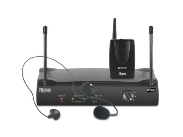 MUSIC&LIGHT Микрофон PW220 — ProAudio