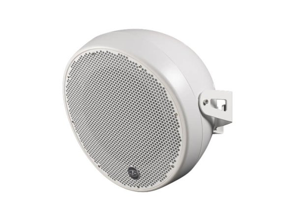 DAS AUDIO Громкоговоритель OVI-12-W — DAS Audio