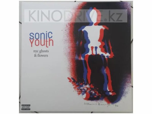 Виниловая пластинка SONIC YOUTH - Nyc Ghosts and Flowers — Разное