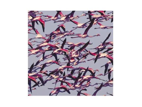 Виниловая пластинка Deftones – Gore — Разное