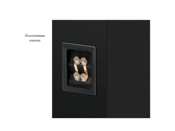PRO-JECT Акустическая система Speaker Box 12 E Carbon САТИНОВЫЙ ЖЕЛТЫЙ EAN:9120122298497 (Пара) — фото 5