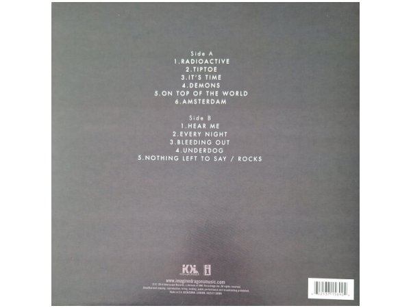Виниловая пластинка IMAGINE DRAGONS: NIGHT VISIONS EAN:0602537158904 — фото 2