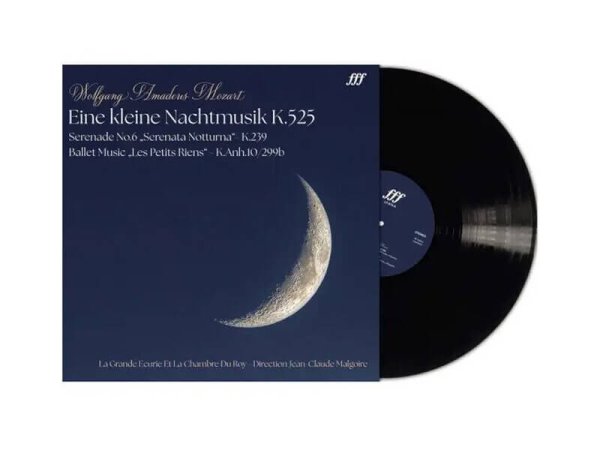 Виниловая пластинка MOZART WOLFGANG AMADEUS: EINE KLEINE NACHTMUSIK K.525 (LP) EAN:4260277748784 — фото 2