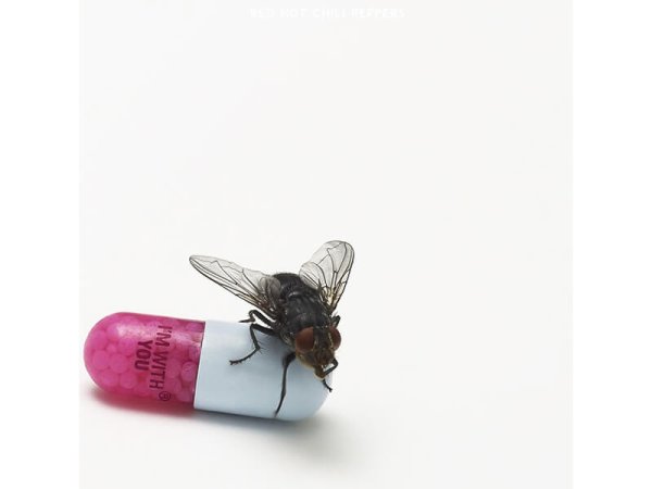 Виниловая пластинка RED HOT CHILI PEPPERS: I'M WITH YOU (2 LP) EAN:0093624956464 — Разное