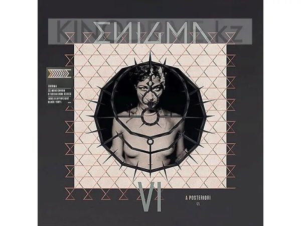 Виниловая пластинка ENIGMA – A Posteriori — Разное
