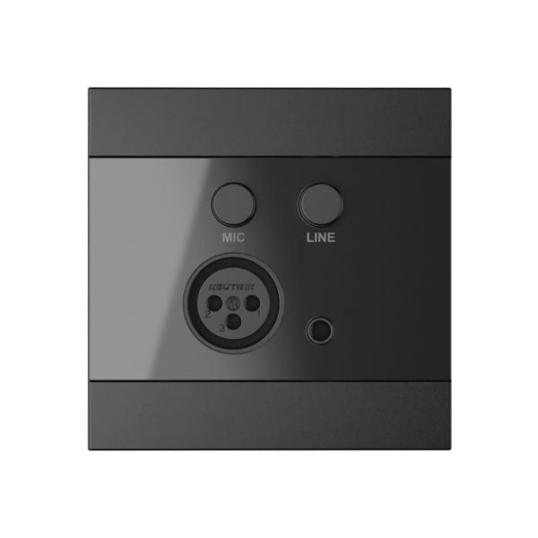 AUDAC Настенная панель управления WP205/B — Audac