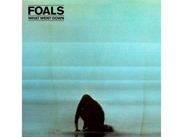 Виниловая пластинка Foals – What Went Down — Разное