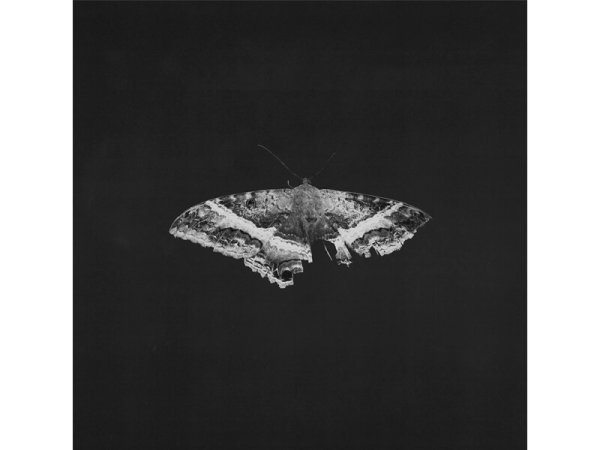 Виниловая пластинка Kendrick Lamar – To Pimp A Butterfly — Разное