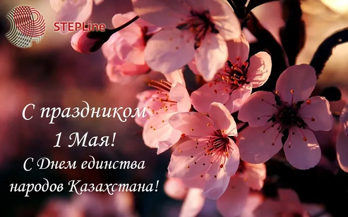 Команда STEPLine поздравляет c наступающим весенним праздником 1 Мая!