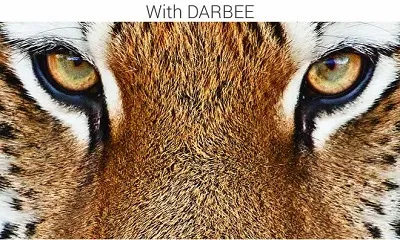 Новый Full HD 3D-проектор Optoma для домашнего кинотеатра c встроенным процессором DarbeeVisionТМ!