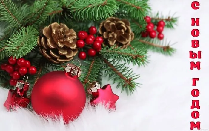 С наступающим Новым Годом! График работы