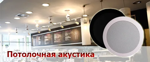 Выбирай акустику на STEPLine.kz